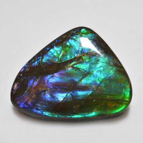 22.9ct Shark Fin Cabochon Multicolor Ammolite for sale thumb image of 22.9ct Shark Fin Cabochon Multicolor Ammolite (ID: 494351)