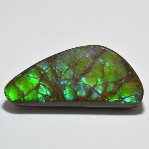 20.99 ct Multicolor Ammolite Stone, Natural Ammolite in Fancy Cabochon Shape for Sale