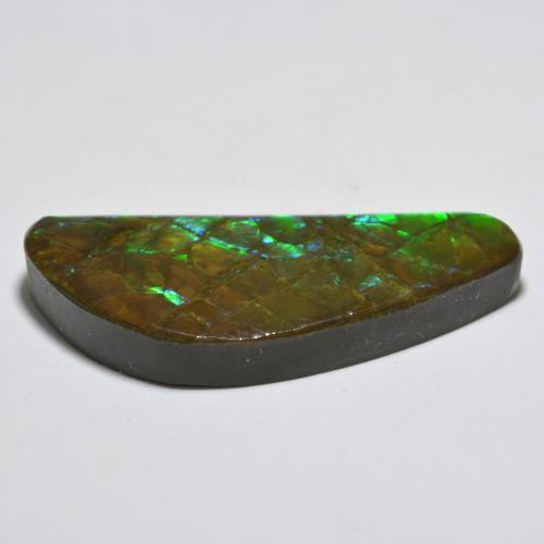 Ammolite Gemstone in 31 x 13.9 mm Size for Sale, Ammolite Stone in Multicolor Color