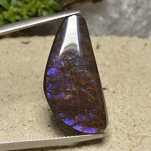 15.94ct Natural Multicolor Ammolite, Fancy, Opaque