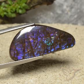 15.94 ct Multicolor Ammolite Stone, Natural Ammolite in Shark Fin Cabochon Shape for Sale