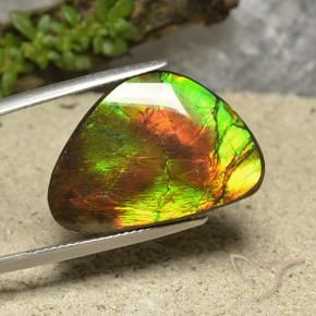 18.57 ct Multicolor Ammolite Stone, Natural Ammolite in Shark Fin Cabochon Shape for Sale