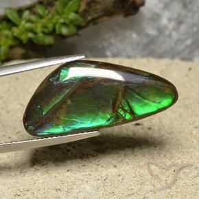 15.08 ct Multicolor Ammolite Stone, Natural Ammolite in Shark Fin Cabochon Shape for Sale