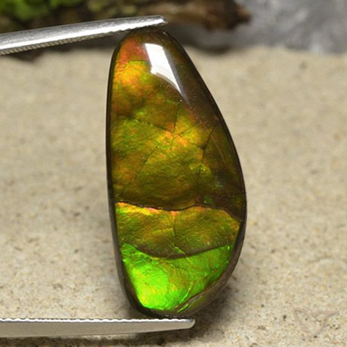 17.01ct Natural Multicolor Ammolite, Fancy, Opaque