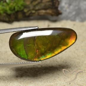 17.01 ct Multicolor Ammolite Stone, Natural Ammolite in Fancy Cabochon Shape for Sale