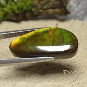 Ammolite Gemstone in 27.3 x 13 mm Size for Sale, Ammolite Stone in Multicolor Color