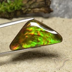 12.19 ct Multicolor Ammolite Stone, Natural Ammolite in Trillion Cabochon Shape for Sale