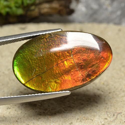 20.87ct Natural Multicolor Ammolite, Fancy, Opaque