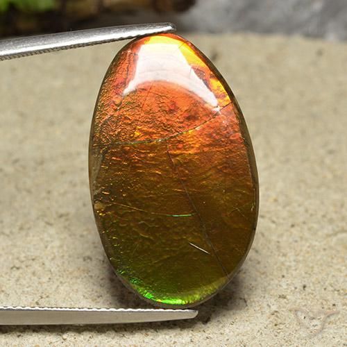 20.87 ct Multicolor Ammolite Stone, Natural Ammolite in Fancy Cabochon Shape for Sale