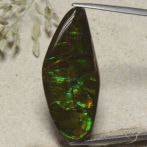 19.53ct Natural Multicolor Ammolite, Fancy, Opaque