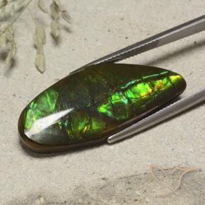 19.53 ct Multicolor Ammolite Stone, Natural Ammolite in Fancy Cabochon Shape for Sale