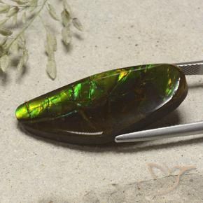 Ammolite Gemstone in 34.3 x 14.5 mm Size for Sale, Ammolite Stone in Multicolor Color