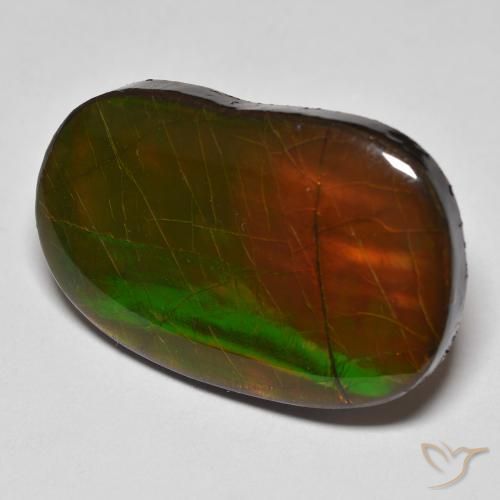 22.58 ct Multicolor Ammolite Stone, Natural Ammolite in Fancy Cabochon Shape for Sale