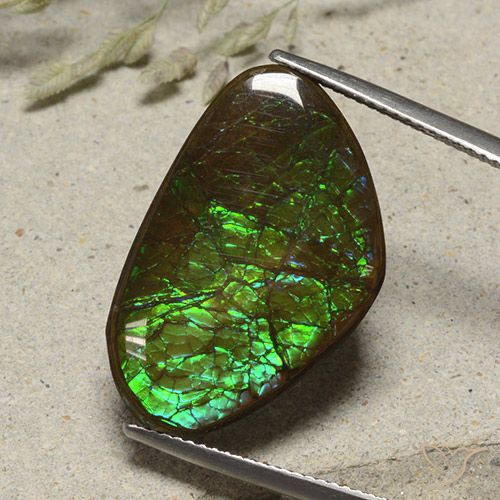 17.38 ct Fancy Ammolite, 25.5 x 16 mm From Canada, Photo A
