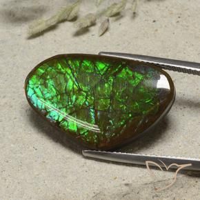 17.38 ct Multicolor Ammolite Stone, Natural Ammolite in Shark Fin Cabochon Shape for Sale