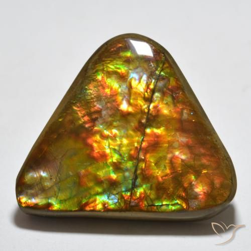 16.58ct Natural Multicolor Ammolite, Trillion, Opaque