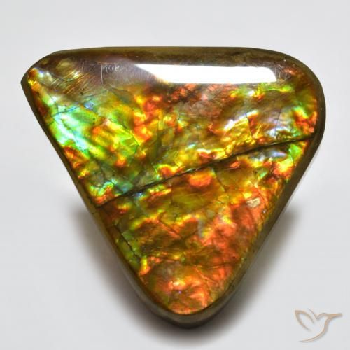 16.58 ct Multicolor Ammolite Stone, Natural Ammolite in Trillion Cabochon Shape for Sale