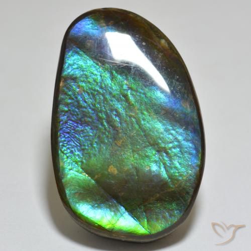 23.81ct Natural Multicolor Ammolite, Fancy, Opaque