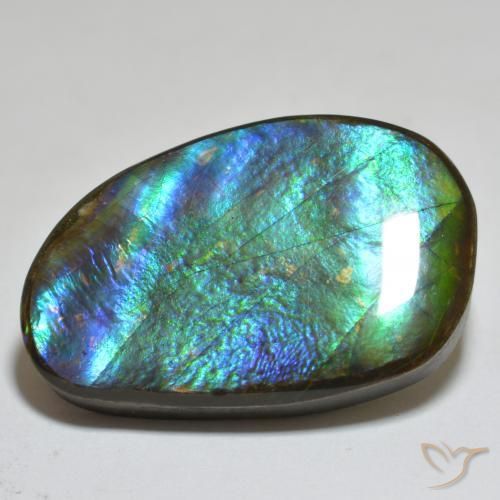 23.81 ct Multicolor Ammolite Stone, Natural Ammolite in Fancy Cabochon Shape for Sale