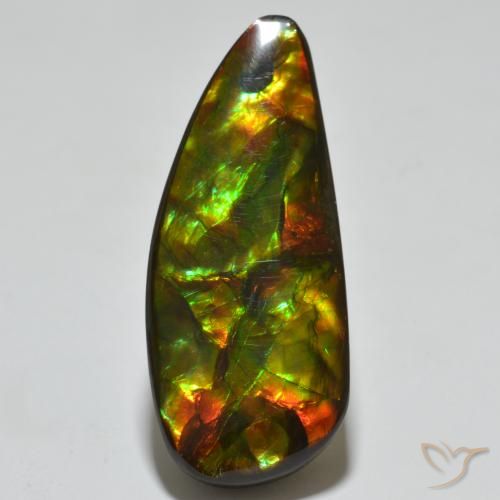 Multicolor Ammolite Gem - 23.5ct Fancy Cabochon (ID: 494366)