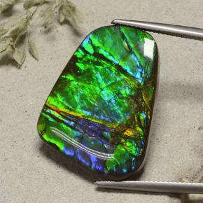 23.2ct Fancy Cabochon Multicolor Ammolite Gem for sale 23.2ct Fancy Cabochon Multicolor Ammolite Gem (ID: 494367)