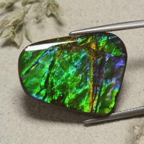 23.18 ct Multicolor Ammolite Stone, Natural Ammolite in Fancy Cabochon Shape for Sale