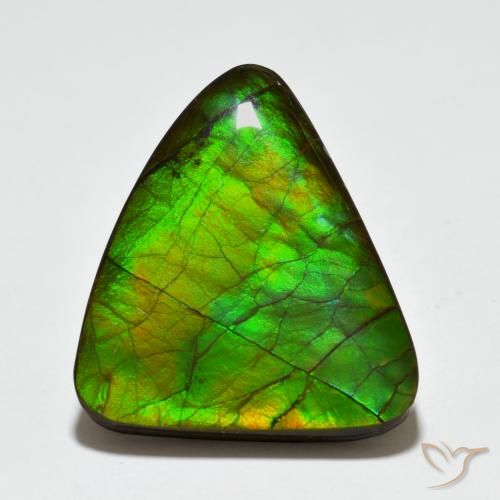 20.44ct Natural Multicolor Ammolite, Fancy, Opaque