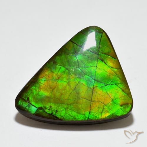 20.44 ct Multicolor Ammolite Stone, Natural Ammolite in Fancy Cabochon Shape for Sale