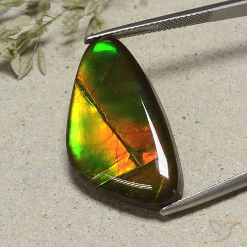 17.24ct Natural Multicolor Ammolite, Fancy, Opaque