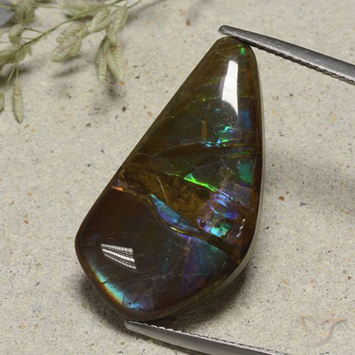 15.41ct Natural Multicolor Ammolite, Fancy, Opaque