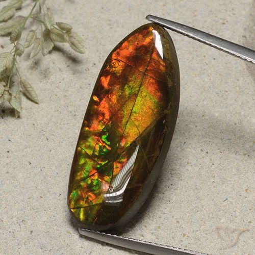 15.74ct Natural Multicolor Ammolite, Fancy, Opaque