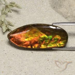 15.74 ct Multicolor Ammolite Stone, Natural Ammolite in Fancy Cabochon Shape for Sale