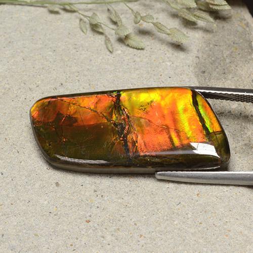 Ammolite Gemstone in 33.5 x 14 mm Size for Sale, Ammolite Stone in Multicolor Color