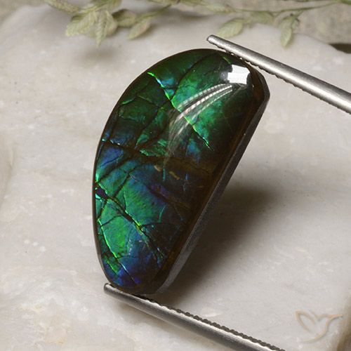 13.17ct Natural Multicolor Ammolite, Fancy, Opaque