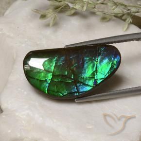 13.17 ct Multicolor Ammolite Stone, Natural Ammolite in Fancy Cabochon Shape for Sale