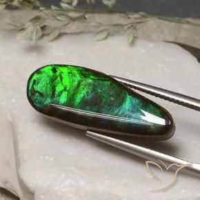 11.06 ct Multicolor Ammolite Stone, Natural Ammolite in Fancy Cabochon Shape for Sale