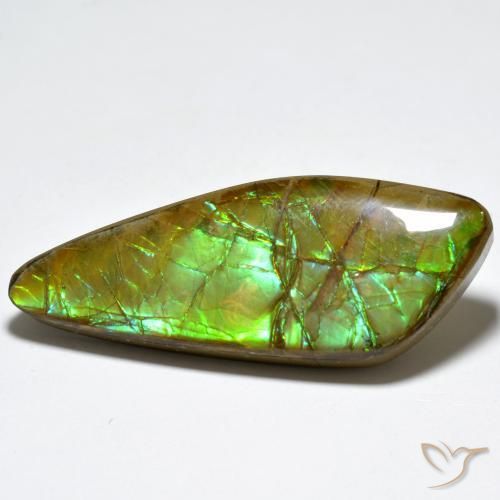 24.80 ct Multicolor Ammolite Stone, Natural Ammolite in Fancy Cabochon Shape for Sale