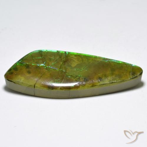 Ammolite Gemstone in 38.8 x 15 mm Size for Sale, Ammolite Stone in Multicolor Color