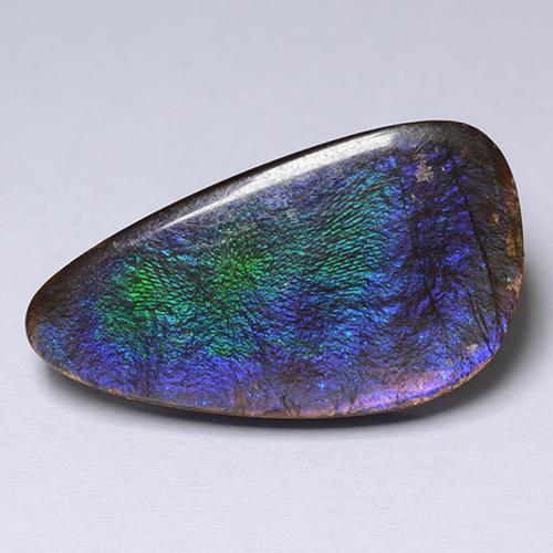 Multicolor Ammolite Gem - 15.6ct Teardrop Cabochon (ID: 509243)
