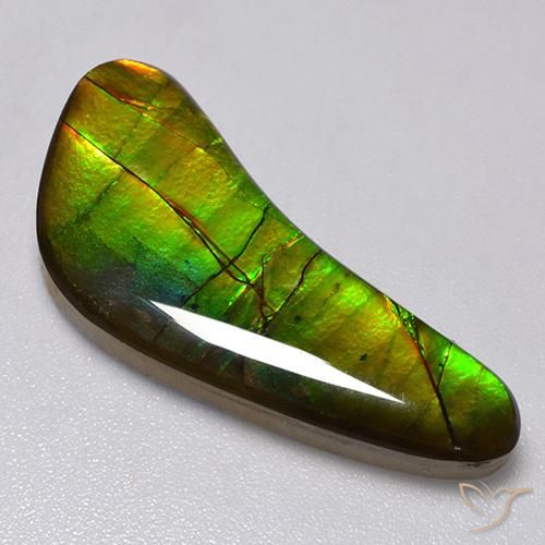 13.02 ct Multicolor Ammolite Stone, Natural Ammolite in Fancy Cabochon Shape for Sale