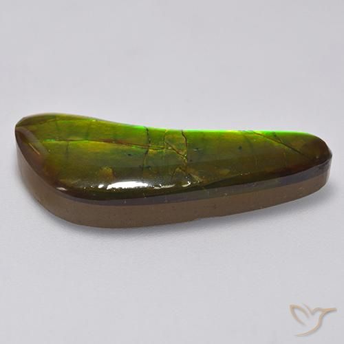 Ammolite Gemstone in 28.2 x 11.6 mm Size for Sale, Ammolite Stone in Multicolor Color