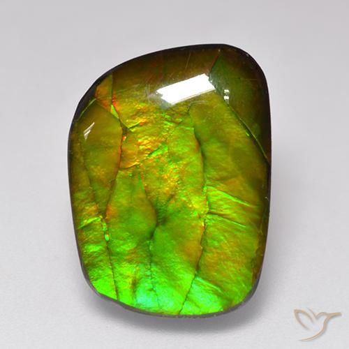 11.49ct Natural Multicolor Ammolite, Fancy, Opaque