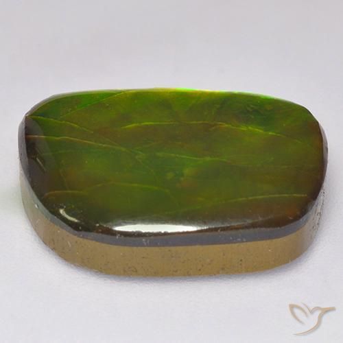 Ammolite Gemstone in 18 x 13 mm (calibrated) Size for Sale, Ammolite Stone in Multicolor Color