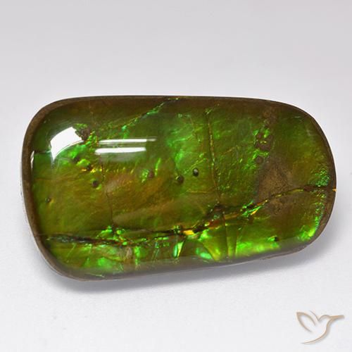 24.17 ct Multicolor Ammolite Stone, Natural Ammolite in Fancy Cabochon Shape for Sale
