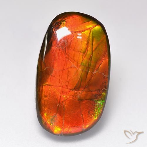 11.88 ct Multicolor Ammolite Gemstone, Ammolite Gem in Fancy Cabochon Shape for Sale.