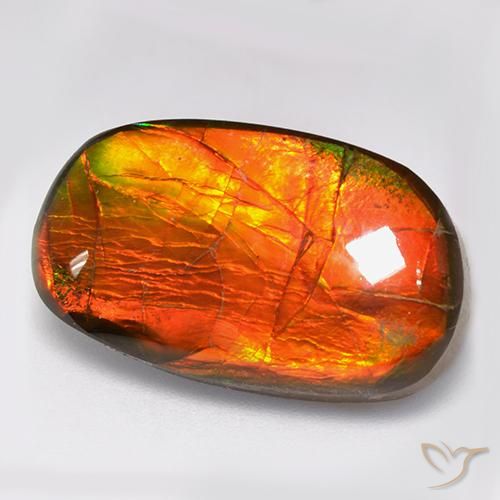 11.88 ct Multicolor Ammolite Stone, Natural Ammolite in Fancy Cabochon Shape for Sale