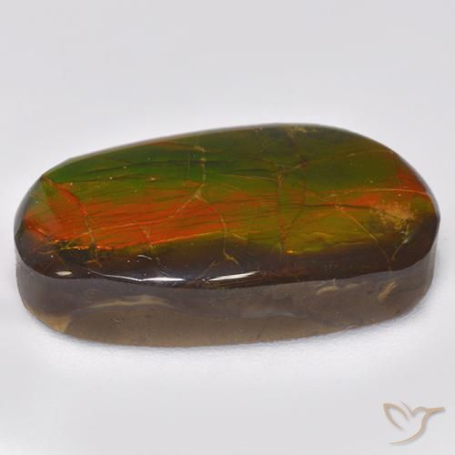 Ammolite Gemstone in 20 x 11.7 mm Size for Sale, Ammolite Stone in Multicolor Color