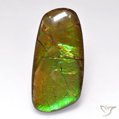 12.44 ct Multicolor Ammolite Gemstone, Ammolite Gem in Fancy Cabochon Shape for Sale.