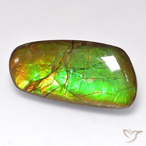 12.44 ct Multicolor Ammolite Stone, Natural Ammolite in Fancy Cabochon Shape for Sale