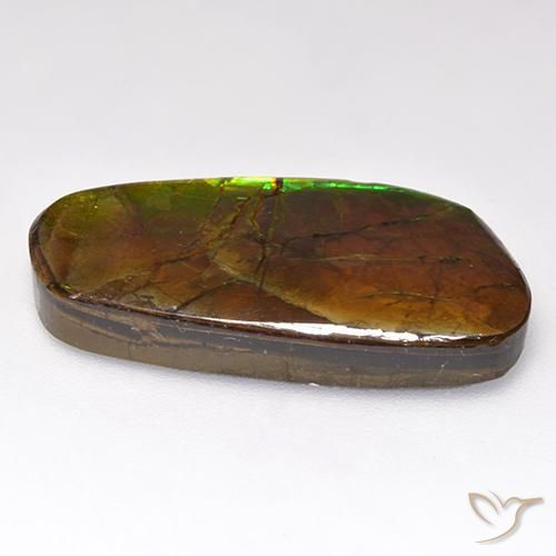 Ammolite Gemstone in 24.5 x 11.9 mm Size for Sale, Ammolite Stone in Multicolor Color